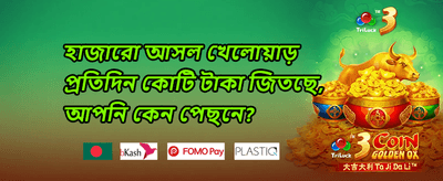 মাস্টার উইন ০১০ promotion banner